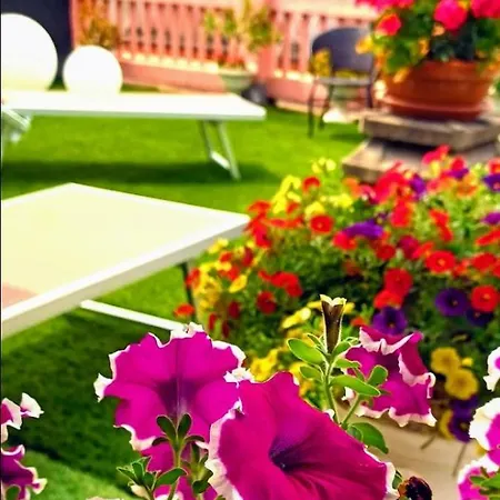 Pensionat Priscilla Nel Golfo Delle Meraviglie La Spezia